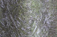 Epworth Turbary fibreglass roof work